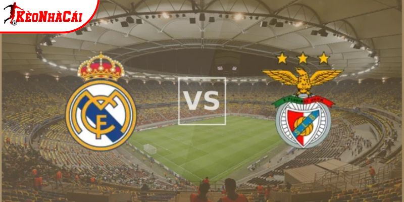 Soi Kèo Real Madrid vs Benfica, 03h 26/2 - Cúp C1