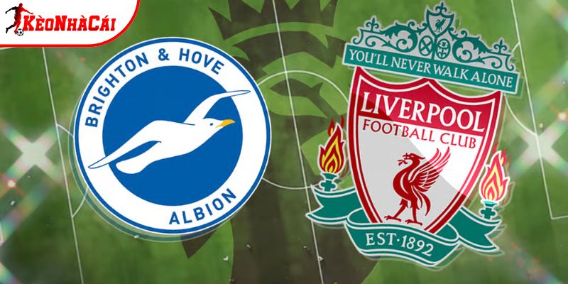 Soi kèo Brighton vs Liverpool, 19h30 21/3 - Ngoại hạng Anh